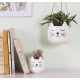 Petit pot pour plante - Chat blanc qui dort