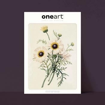 Affiche One Art - 30x40 cm - Chrysanthème caréné