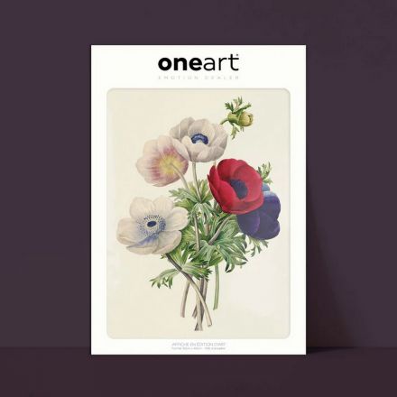 Affiche One Art - 30x40 cm - Anémone Simple