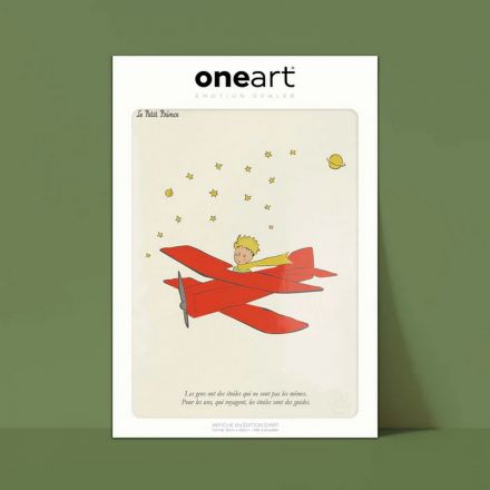 Affiche One Art - 30x40 cm - Petit Prince avion 