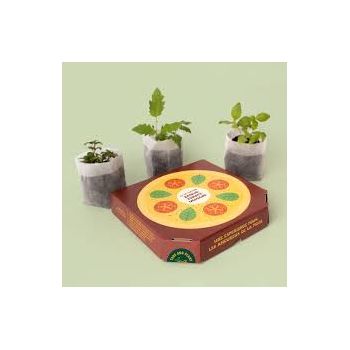 Kit de culture - Pizza Lover - Basilic Tomate Origan 